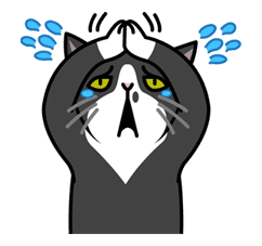 Meow Me 3 sticker #12921