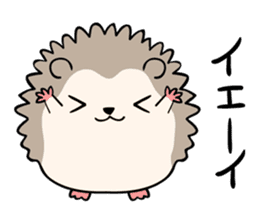 Hedgehog Beil sticker #12541877