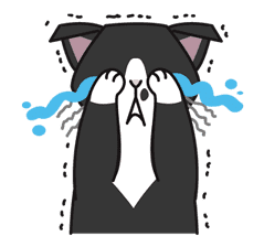 Meow Me sticker #2660