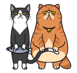 Meow Me sticker #2668