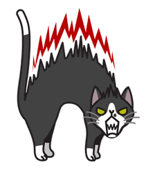 Meow Me sticker #2670