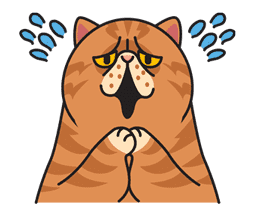 Meow Me sticker #2684