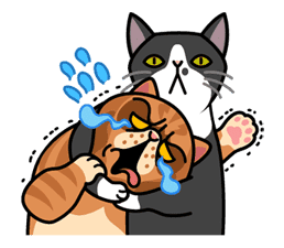 Meow Me 2 sticker #4925