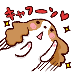 キャバリアですよ。[LINEスタンプ]