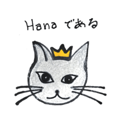 Hana is a very cute cat