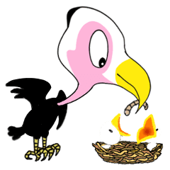 The Big Bird "Bontak"