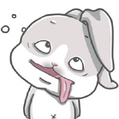 Gray bunny