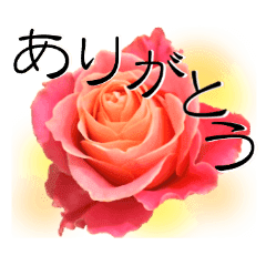 Appreciate your feelings with flowers!