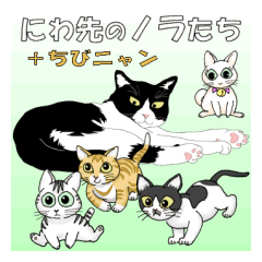 Stray cats in the garden. + kittens