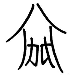 So Good Japanese Squid