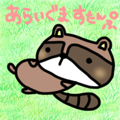 Daily lives of Raccoon
