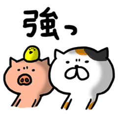 Game everyday tortoiseshell cat and pig3