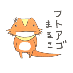 Central bearded dragon