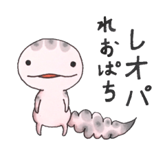 leopard gecko leopachi