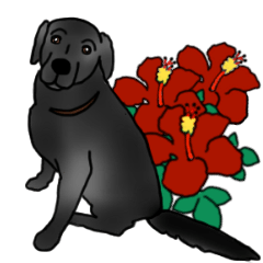 SORA FAMILY : PART 2