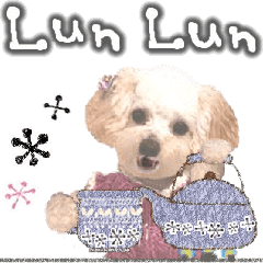 toy poodle "LUNLUN"-movie- English 4