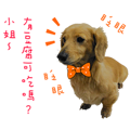 Mr. Tofu's line animated stickers (NO.1)