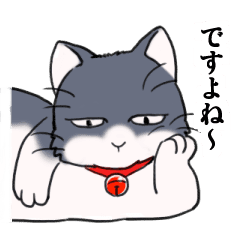 Tundere cat harukichi 2