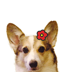 vivi dog