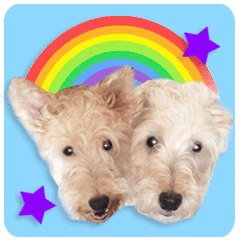 Terrier brothers everyday use sticker