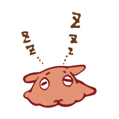 Pancake devilfish which sleeps well