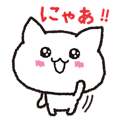 The cat is cute.