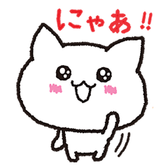 The cat is cute.