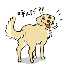 Cute Golden Retriever Sticker By Lonlon