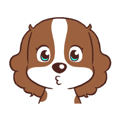 The Cavalier King Charles Spaniel Dog 3.