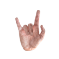 Hand Sign 3D