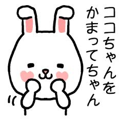 Cocochan rabbit