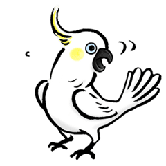 Cockatoo's way of life