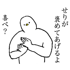 White bird's name is Seri