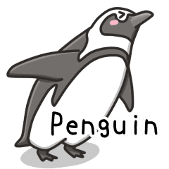 African penguin
