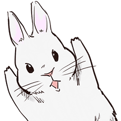 Adorable White Rabbit