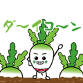Japanese radish san and Carroto san.