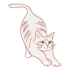 a cat enjoying a slowly life