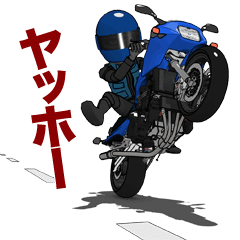 Black screen rider