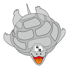 Hustle Tortoise