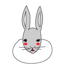 cute raabbit