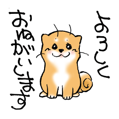 Mameshibaco!
