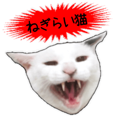 Cat's Good work