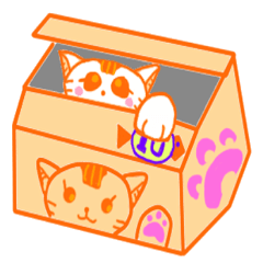 Stealing money cat Asha+Emily And Alger