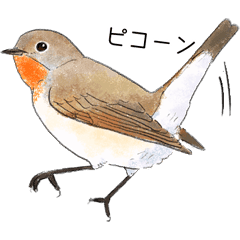 japanese bird 3