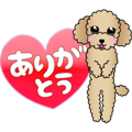 Animated! The Toy Poodle stickers