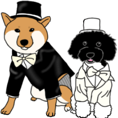 Asahi &Robin