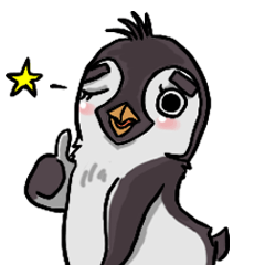 penguin dongdong
