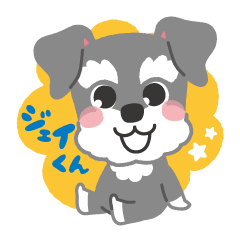 Schnauzer's Jay