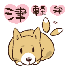 TSUGARU PUPPY