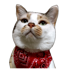 she name is milk